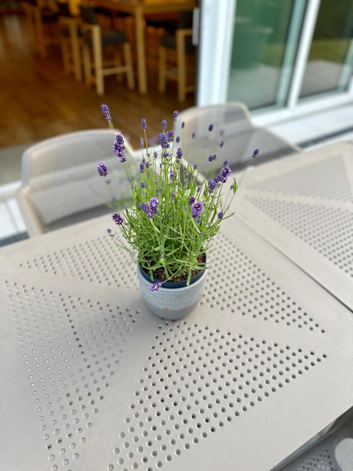 Gaestehaus Gn8 Rielasingen-Worblingen Exteriör bild