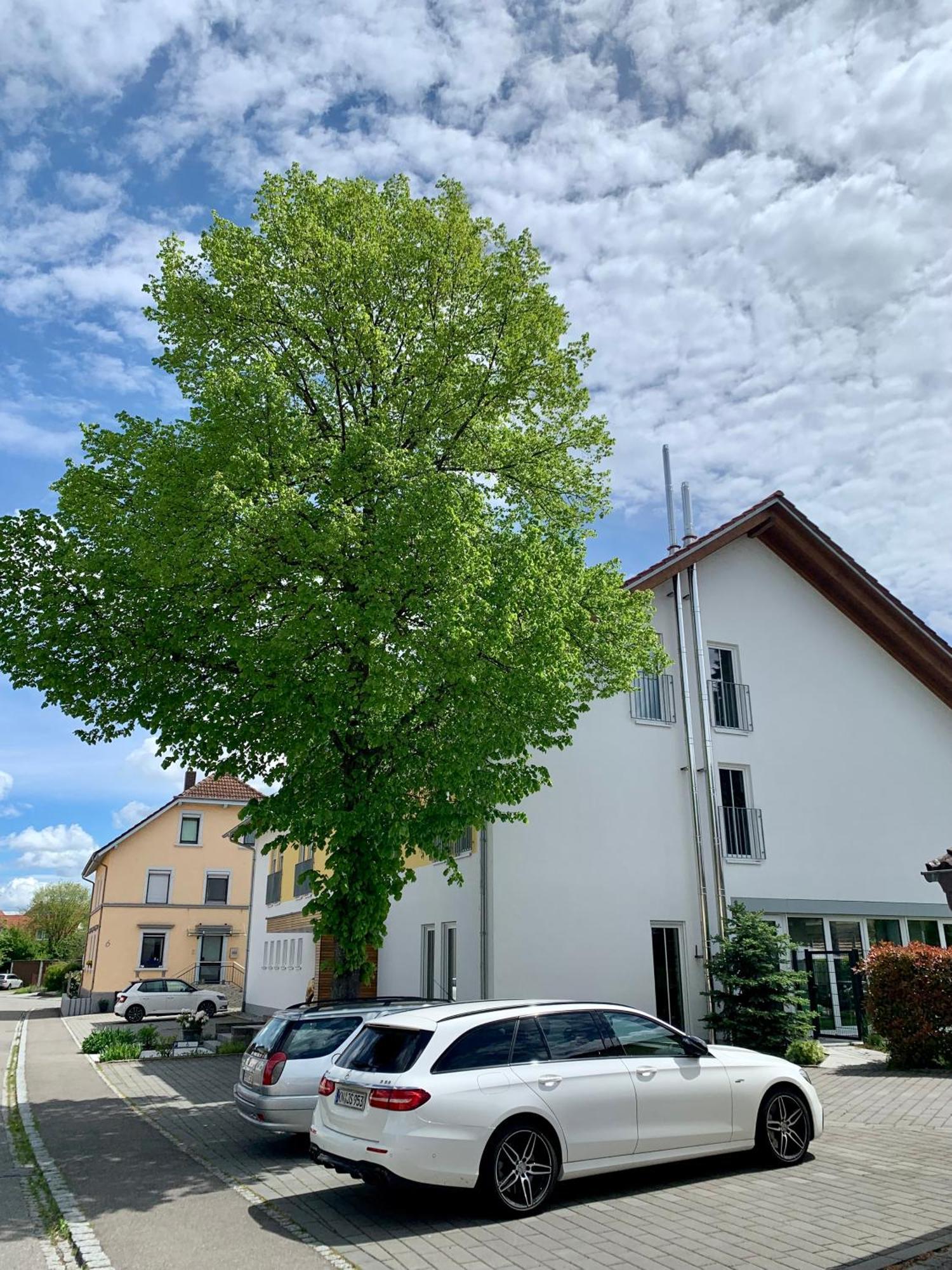 Gaestehaus Gn8 Rielasingen-Worblingen Exteriör bild